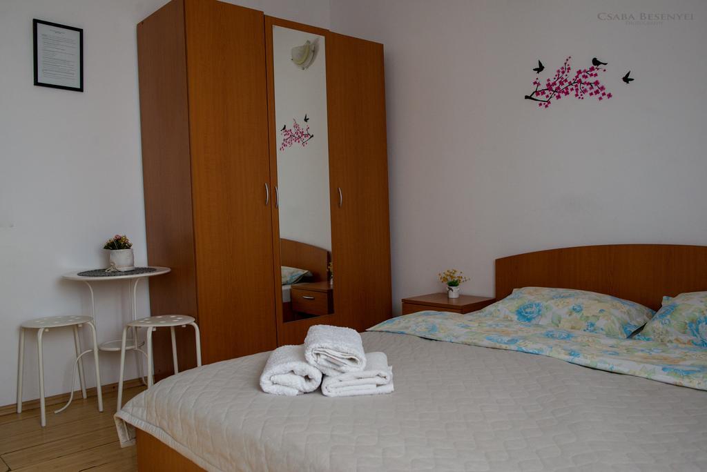 Speedhouse Apartment Alba Iulia Bagian luar foto